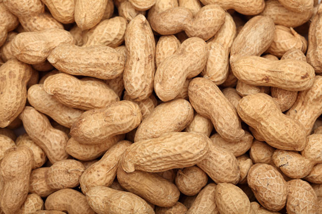 Early introduction of peanut dramatically decreases the risk of developing a peanut allergy